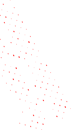 No alt text
